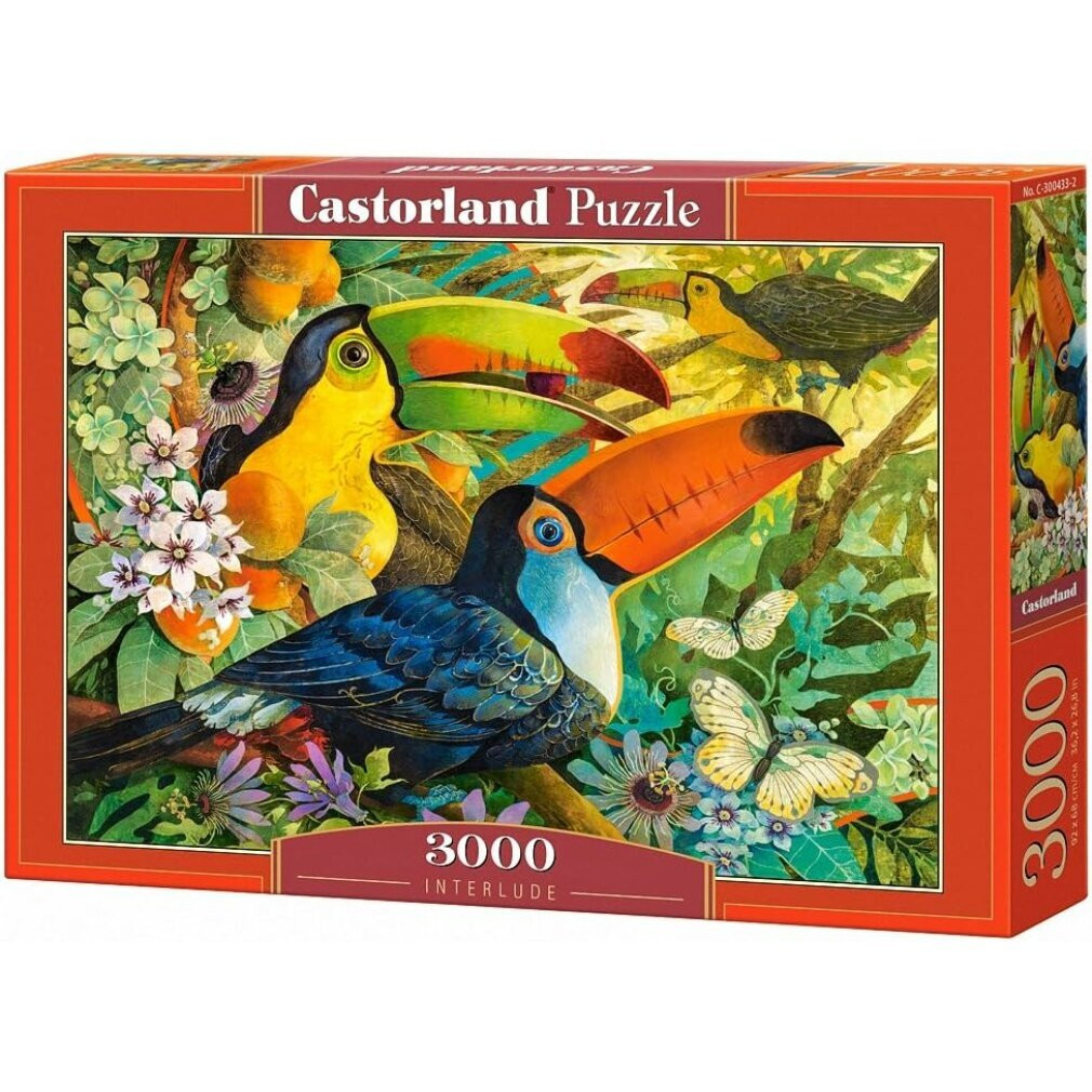 Castorland Puzzel Interlude 3000 stukken 300433