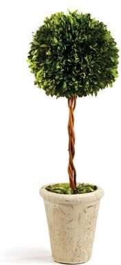 Porch & Petal "Boxwood Single Sphere Topiary 18.5"" - Green"