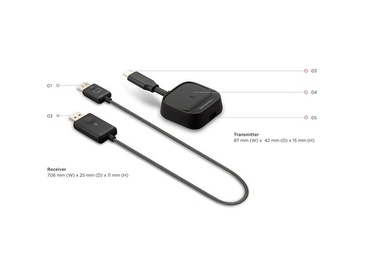 ViewSonic WPD-900 - Netzwerkmedien-Streaming-Adapter (PJ-WPD-900)