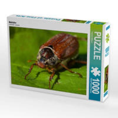 CALVENDO Puzzle Maikäfer 1000 Teile Lege-Größe 64 x 48 cm Foto-Puzzle Bild von Thomas Willerer