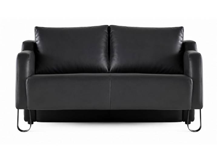 Xlmoebel 2-Sitzer Sofa Schwarz modern elegant funktional ergonomisch Leder, 1 Teile
