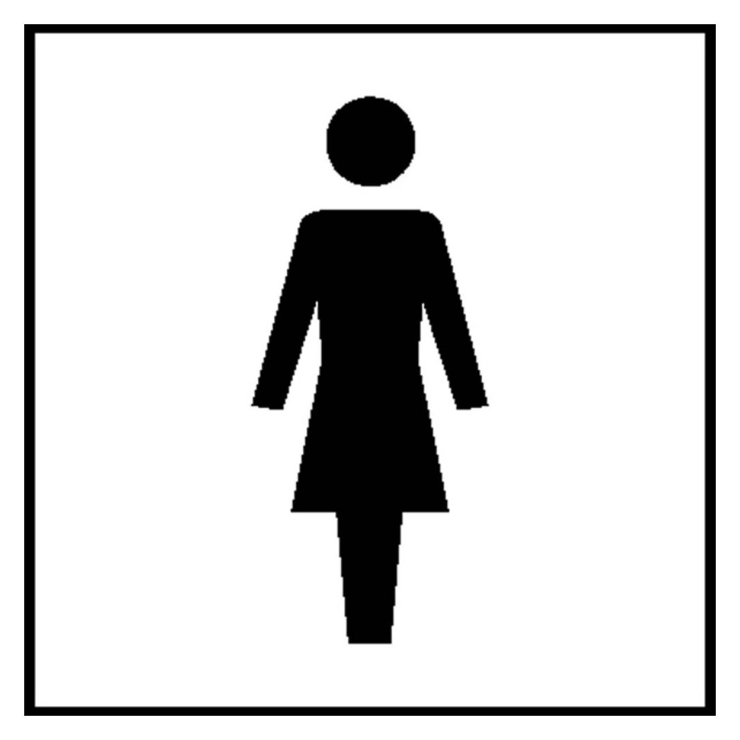 Wolk Türschild WC - Damen Kunststoff B x H 100 mm 1 St. (43.5880.11)