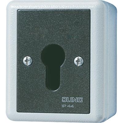 Jung Schlüsselschalter 833.18 G 833.18G