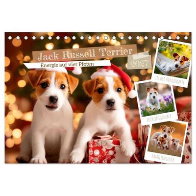 Jack Russell Terrier - Energie auf vier Pfoten (Tischkalender 2027 DIN A5 quer), CALVENDO Monatskalender