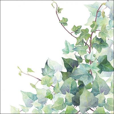 Ambiente 20 Servietten Papier 33x33cm 3-lag - hochwertige Einweg Papierservietten Efeu Aquarell grün weiß Blättermotiv natürlich Garten Hochzeit Frühling Feier