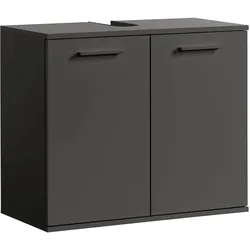 WASCHBECKENUNTERSCHRANK Der Waschbär