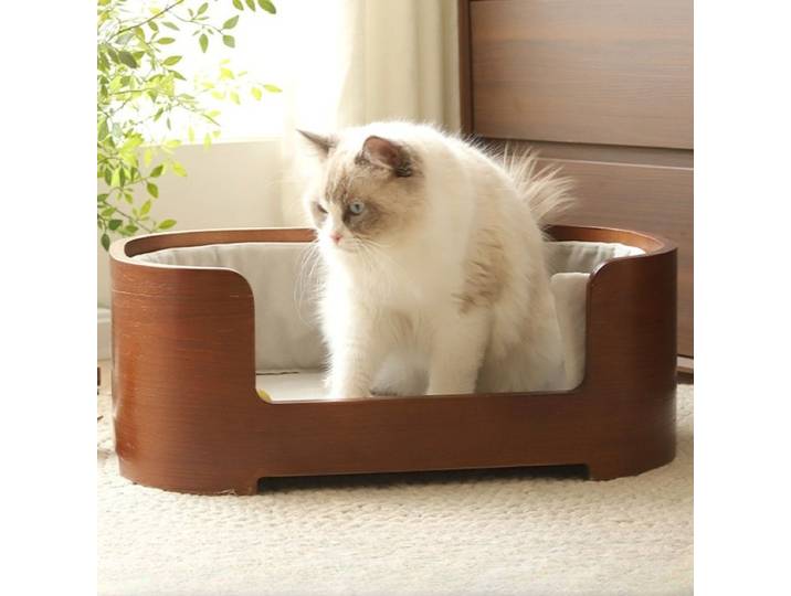 Lit pour chat en bois avec tapis amovible, lits de sécurité pour chat, canapé confortable toutes saisons, décoration de la maison, nid pour chat, facile à nettoyer