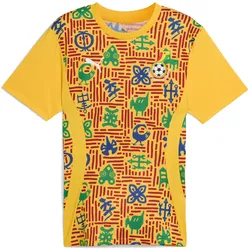 Puma, Herren, Fussballtrikot, voranstosstrikot ghana 2024 (L), Gelb