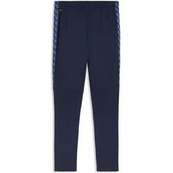 Puma, Herren, Sporthose, teamLIGA26 Training Pants+ (XL), Blau