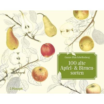 100 alte Apfel- und Birnensorten, Gebundene Ausgabe von Gustav Pfau-Schellenberg,Luc Lienhard, Haupt Verlag, 978-3-258-08013-0