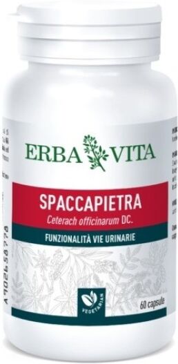 Erba Vita - Spaccapietra 60 Capsule: Integratore per la Salute delle Vie Urinarie