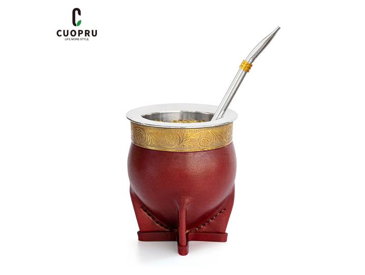 Armoires argentines ba Mate Cup avec paille, tasse à thé gourde, One Bombilla Mate, brosse à livres