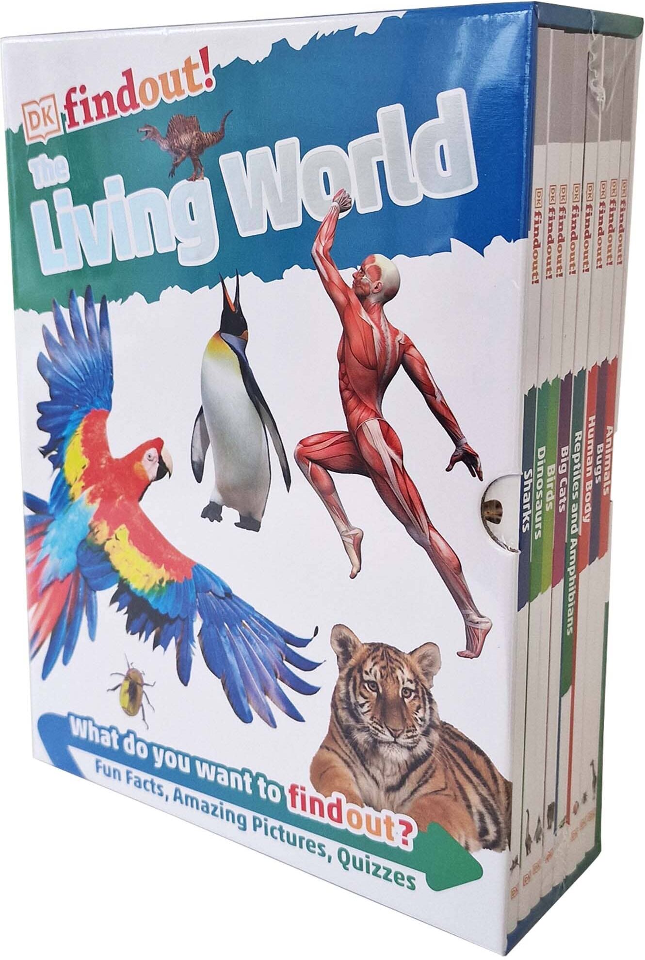 DKfindout!: The Living World Collection 8 Books Box Set - Ages 6-9 - Paperback DK Children