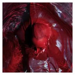 Cargo, Schallplatten, NOT HERE NOT GONE (180g) (Blackwater Holylight)