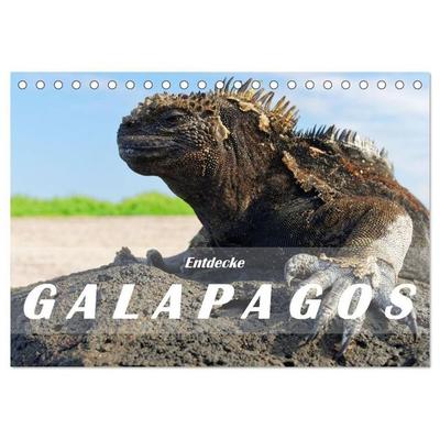 Entdecke Galapagos (Tischkalender 2027 DIN A5 quer), CALVENDO Monatskalender