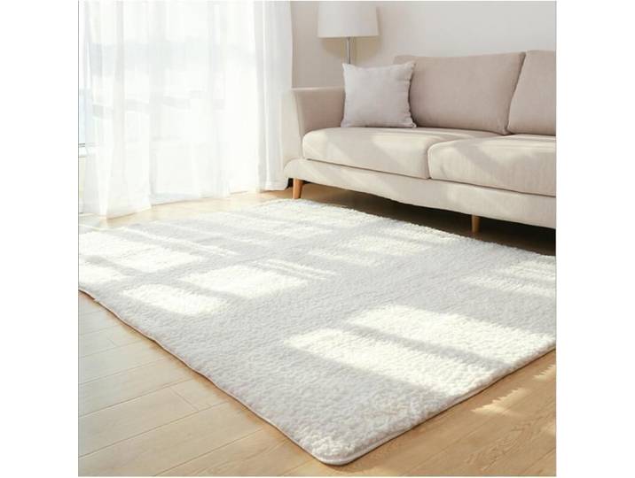 Tapis en peluche salon chambre table basse - Aueq - tapis de chevet
