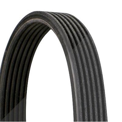 Continental Ctam Keilrippenriemen [Hersteller-Nr. 6DPK1188] für Seat, VW