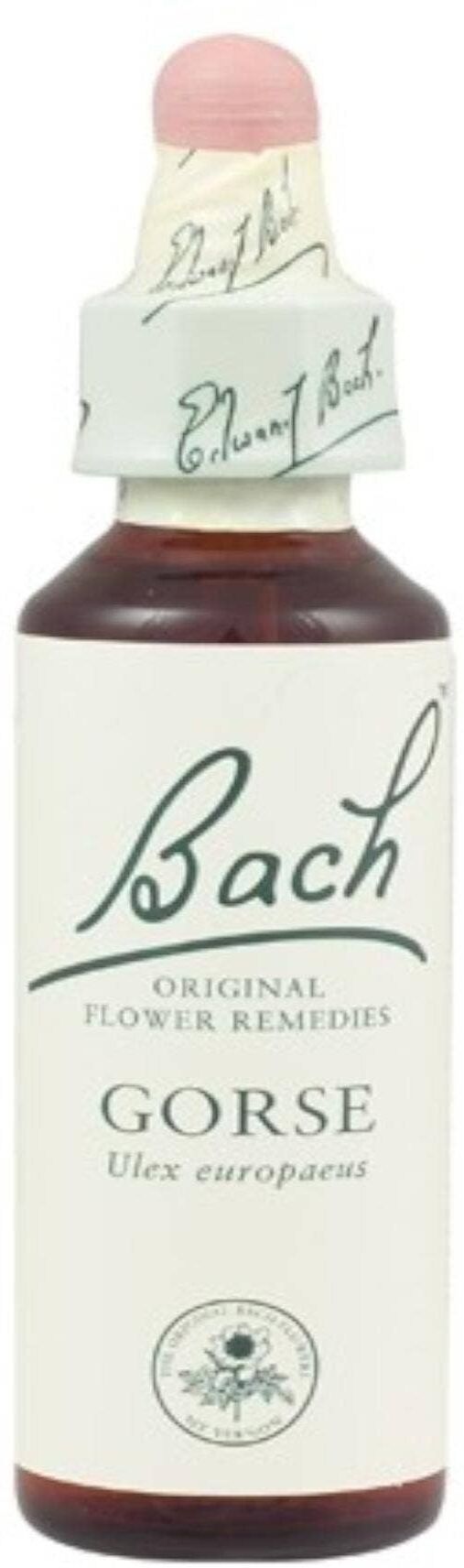SCHWABE Bach Gorse 20 Ml 