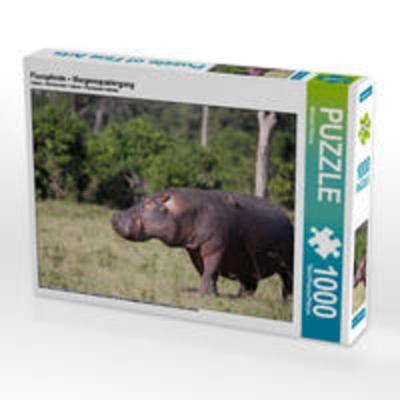 CALVENDO Puzzle Flusspferde – Morgenspaziergang 1000 Teile Lege-Größe 64 x 48 cm Foto-Puzzle Bild von Michael Herzog