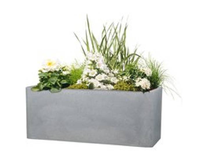 SCHEURICH Bac à plantes Cube Box, 21 L ou 35,5 L (gris, 60 cm)