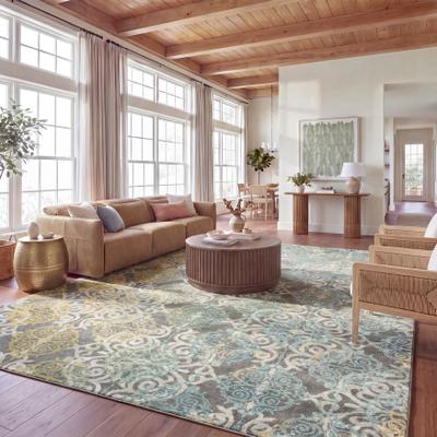 SAFAVIEH Evoke Aurora Vintage Boho Medallion Rug