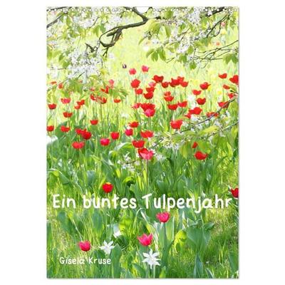 Ein buntes Tulpenjahr (Wandkalender 2026 DIN A3 hoch), CALVENDO Monatskalender