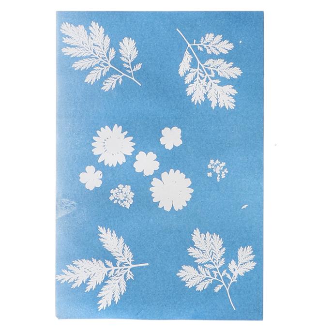 Esschert Design Solar-Fotopapier A4 (A4, 6 Stk.) (53042697)