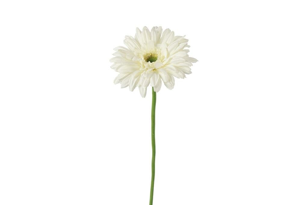 Countryfield zijden gerbera Leanne wit 60 cm