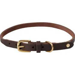 Robin Hundehalsband 58 cm, braun