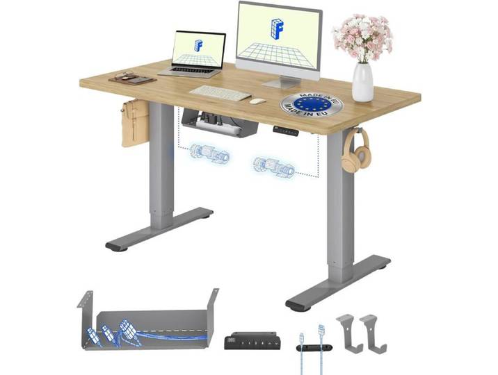 FLEXISPOT Bureau assis-debout avec 2 moteurs