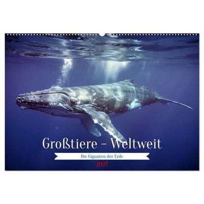 Großtiere - Weltweit (Wandkalender 2027 DIN A2 quer), CALVENDO Monatskalender