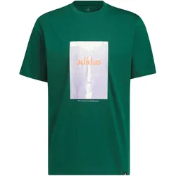 adidas Waterfall Graphic T-Shirt Herren KS2173 - collegiate green XL