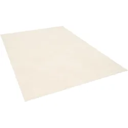 Snapstyle, Teppich, Luxus Super Soft Hochflor Langflor Teppich Deluxe (320 x 80 cm)