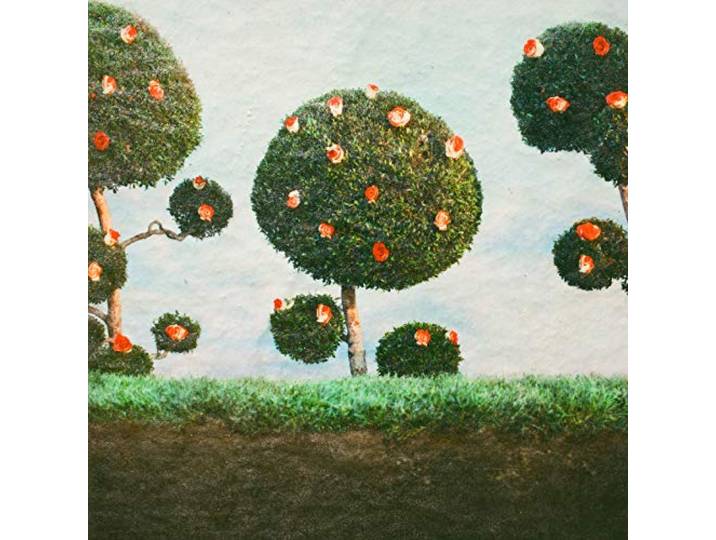 Painting the Roses
