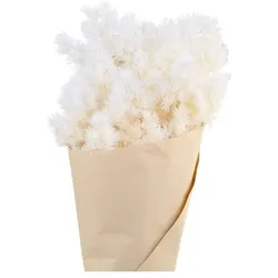 Chic Antique Fleur getrocknete Schleierspargel, L50 cm, creme