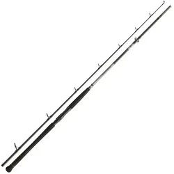 Daiwa Powermesh CF Boje 2,70m 150-400g Welsrute