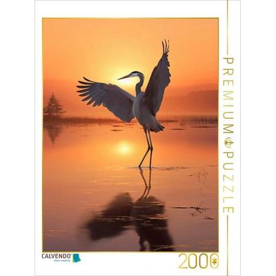 CALVENDO Puzzle Ein Motiv aus dem Kalender Tanz der Vögel | 2000 Teile Lege-Größe 90x67cm Foto-Puzzle für glückliche Stunden, Sonstige von , Calvendo