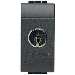 Legrand L4012 Schalter 2Polig mit Schluessel