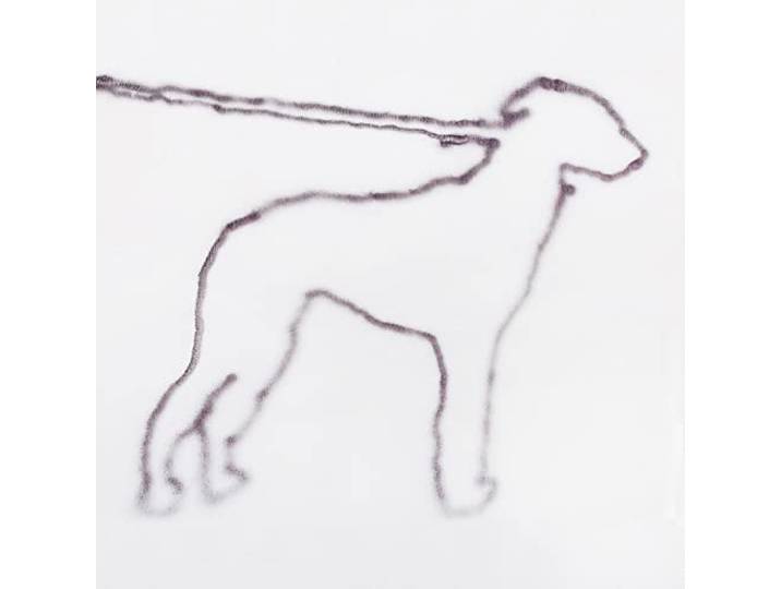 Portrait of a Dog