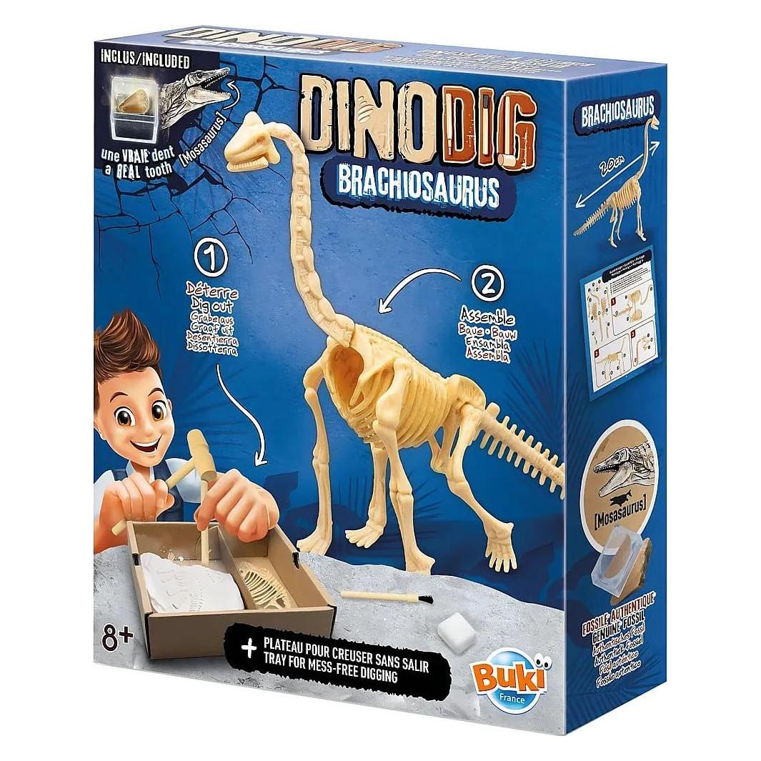 Buki Dino zum Ausgraben - Brachiosaurus (445BRA)