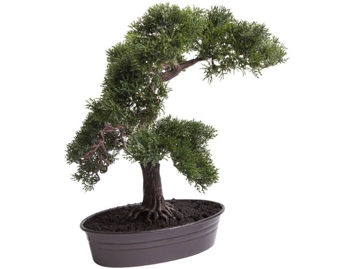 Kunstbonsai BOTANIC-HAUS Cedern Bonsai , grün (dunkelgün), B:37cm H:42cm T:37cm Ø:37cm, Kunststoff, Kunstpflanzen, Kunstbonsai