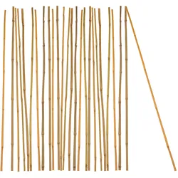BigDean 25x Pflanzstab Bambusstab 105 cm x 8-10 mm Bambus Rankhilfe Pflanzstab Tonkinstab 100% Naturprodukt Pflanzstäbe Bambusstäbe Bambusstangen
