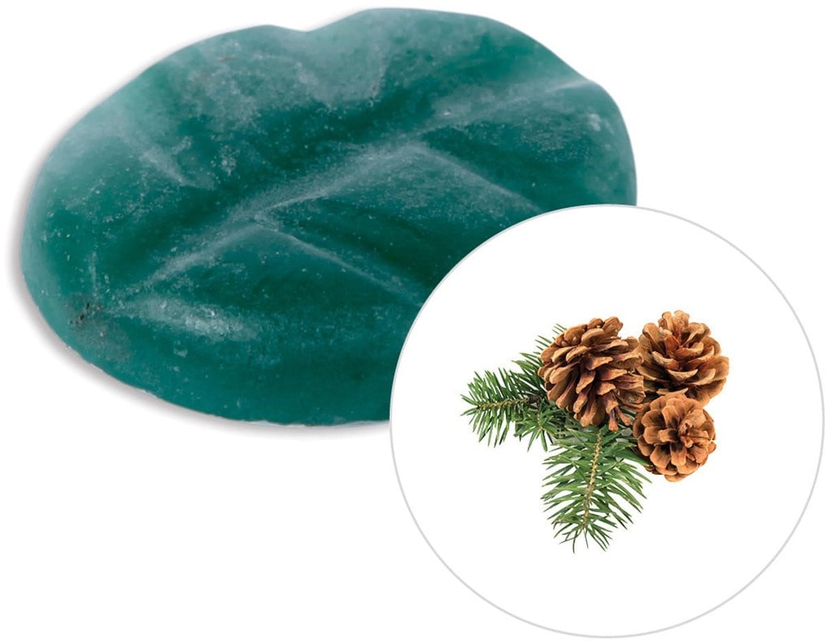 Scentchips Winterwoud Geurblokjes XL - 38 stuks - Huisparfum voor geurbranders en waxbranders