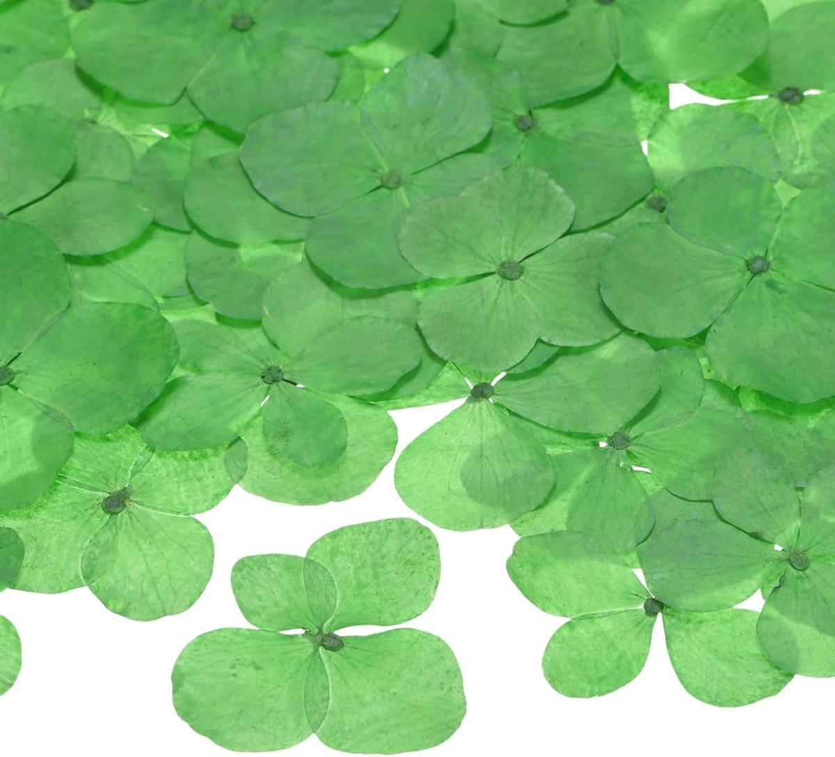 12 Stuks Gedroogde Persbloemen voor Ambachten en DIY Sieraden