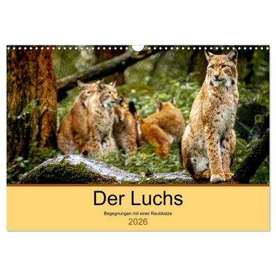 Der Luchs - Begegnungen mit einer Raubkatze (Wandkalender 2026 DIN A3 quer), CALVENDO Monatskalender