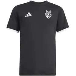 adidas Tee Entrada 26 WG M