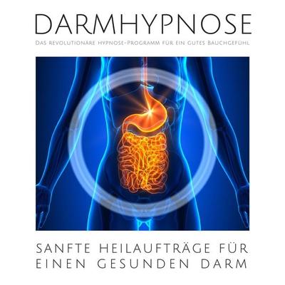 Darmhypnose: Sanfte Heilaufträge für einen gesunden Darm - Mike Schwarz,Julia Gruber, Audio, 4064066646370
