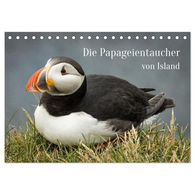 Die Papageientaucher von Island (Tischkalender 2026 DIN A5 quer), CALVENDO Monatskalender