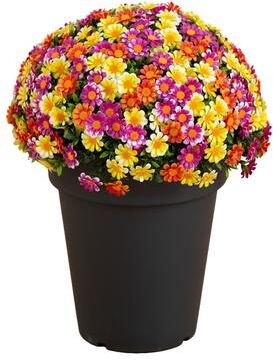 Nearly Natural 18-in UV Resistant Artificial Mixed Daisy Plant (Indoor/Outdoor)