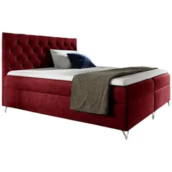 BOXBETT Ambre In Fresh